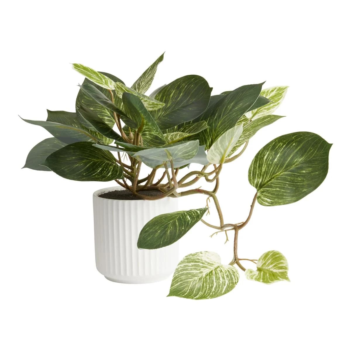 Ceramic Plant Pot